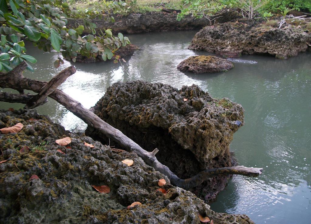 Piscina Natural On The Sea Cahuita Exteriér fotografie