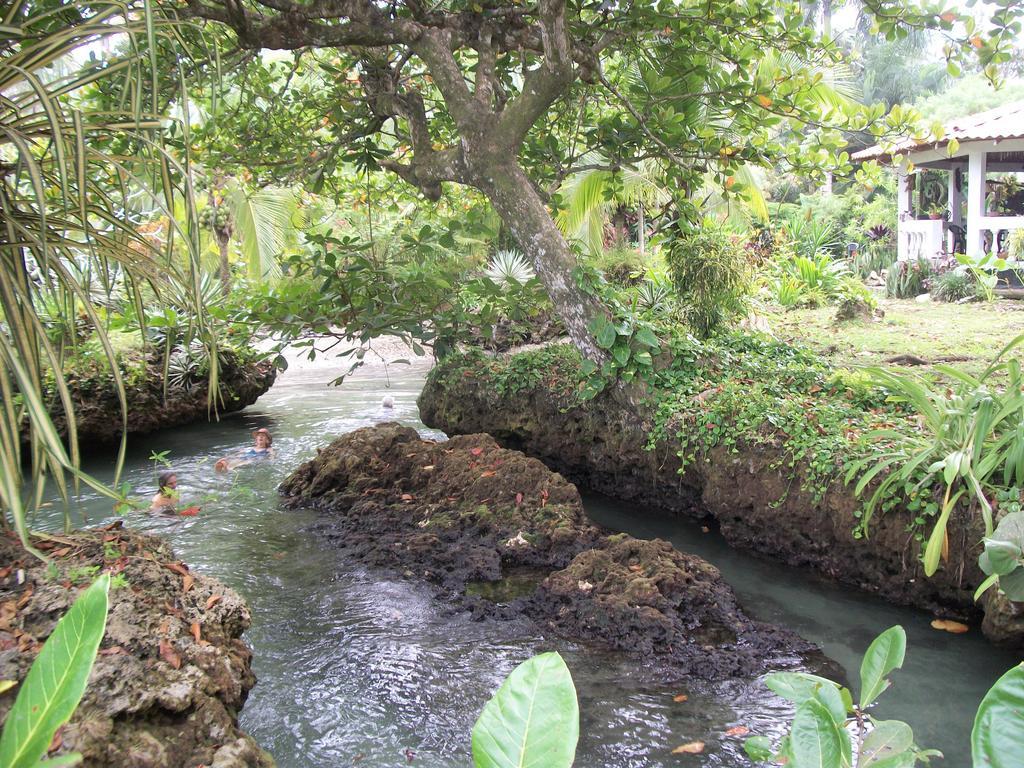 Piscina Natural On The Sea Cahuita Exteriér fotografie