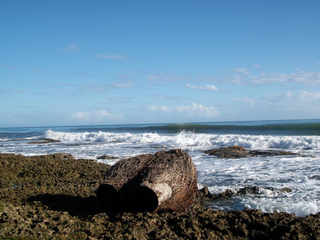 Piscina Natural On The Sea Cahuita Exteriér fotografie