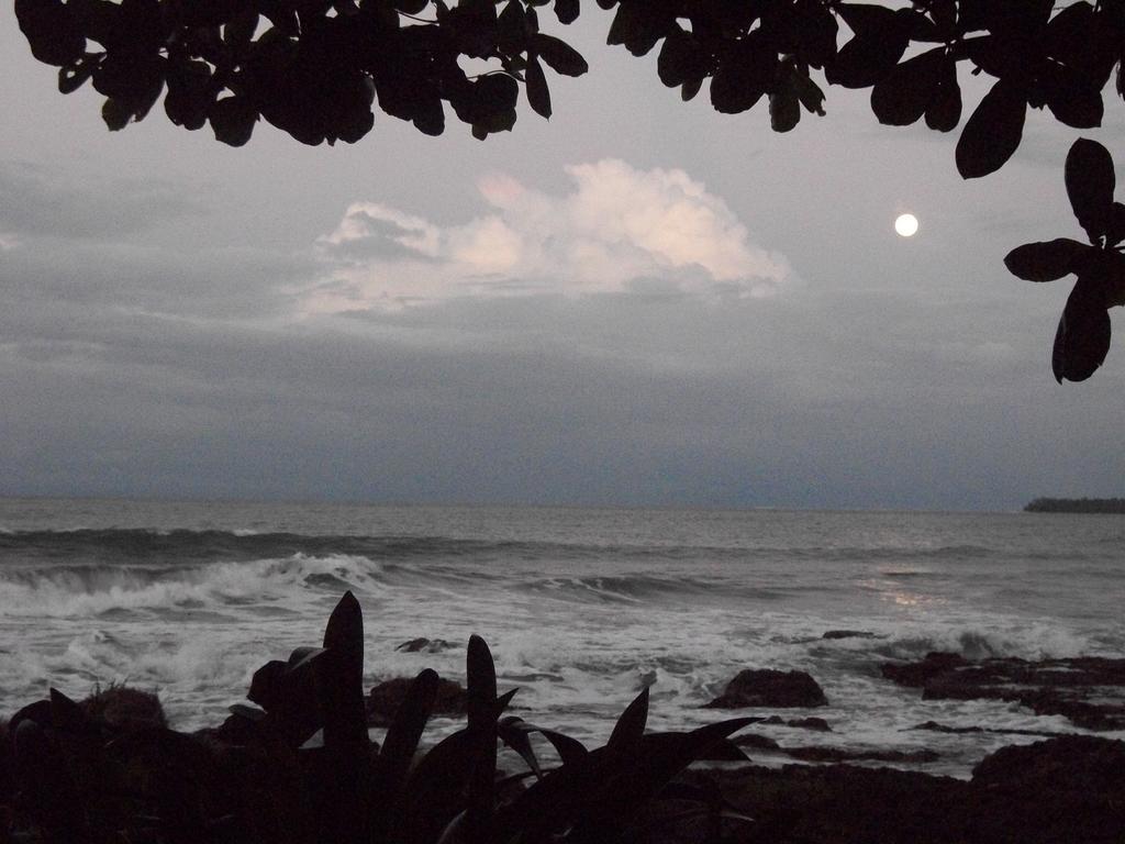 Piscina Natural On The Sea Cahuita Exteriér fotografie