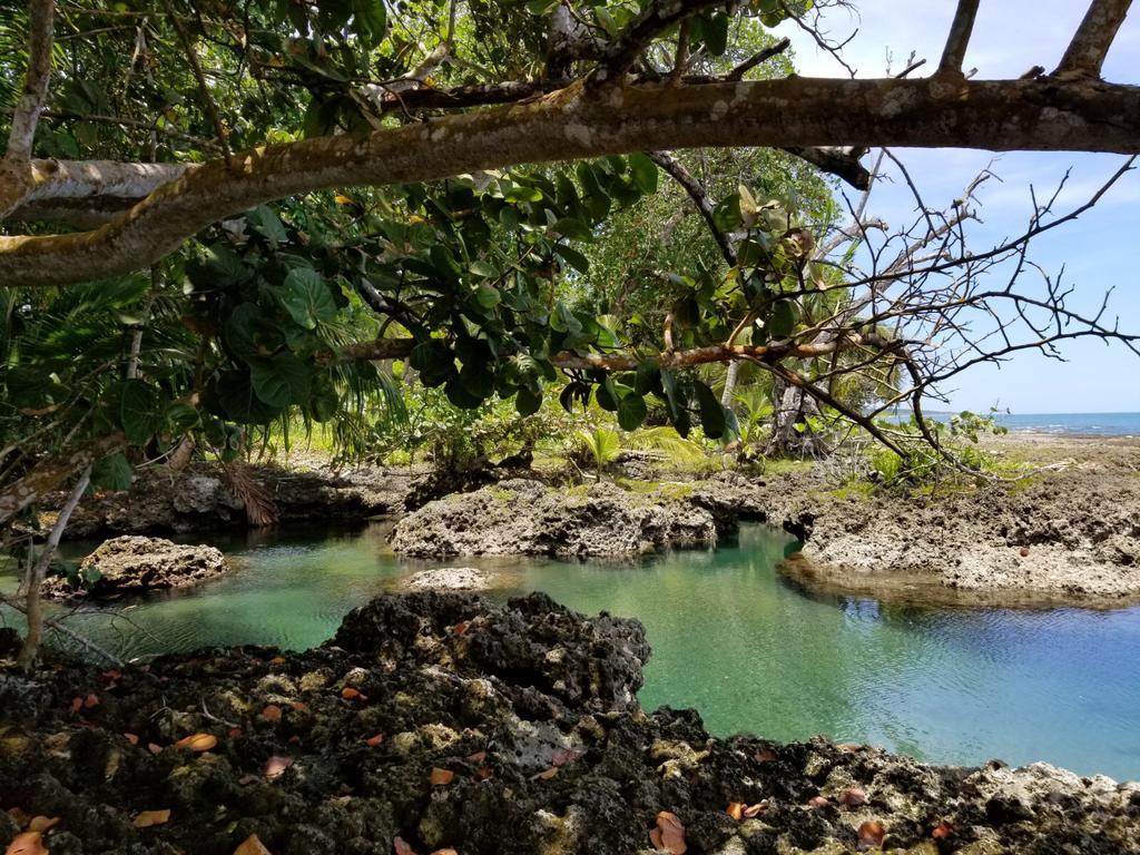 Piscina Natural On The Sea Cahuita Exteriér fotografie