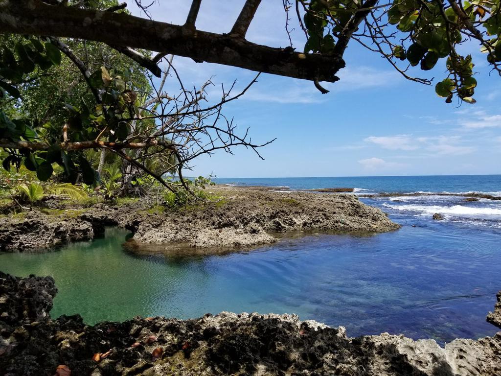 Piscina Natural On The Sea Cahuita Exteriér fotografie