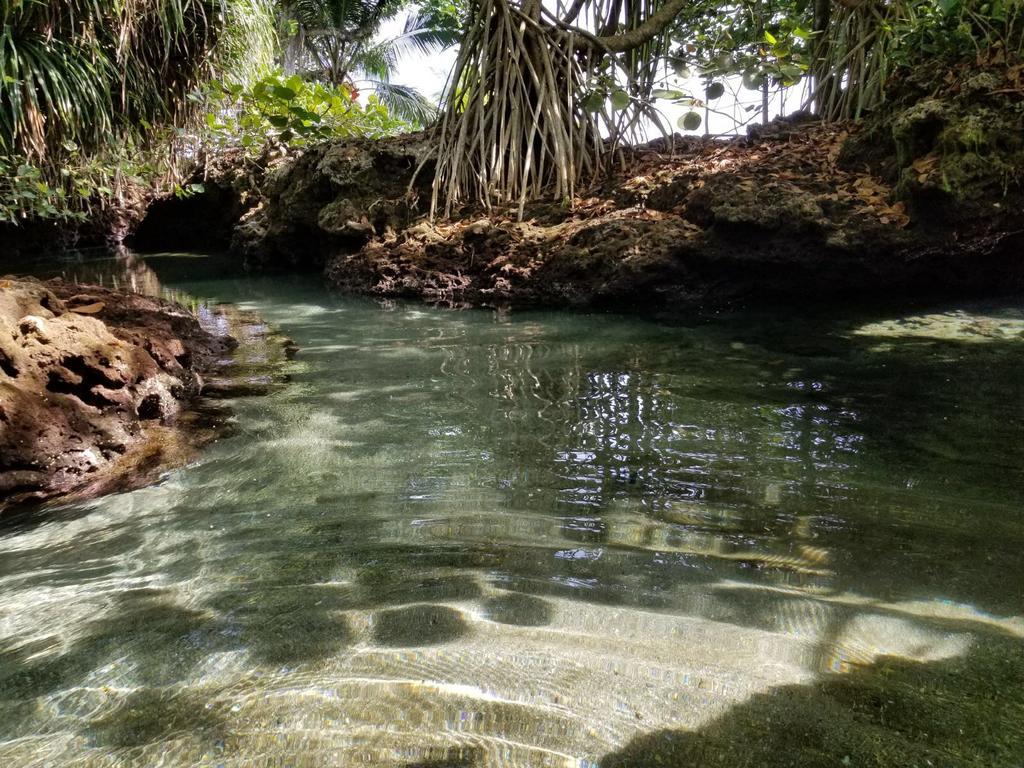 Piscina Natural On The Sea Cahuita Exteriér fotografie