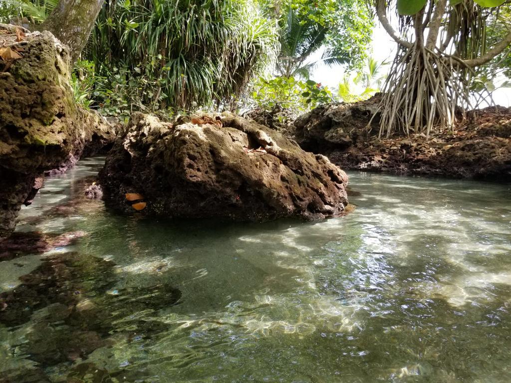 Piscina Natural On The Sea Cahuita Exteriér fotografie